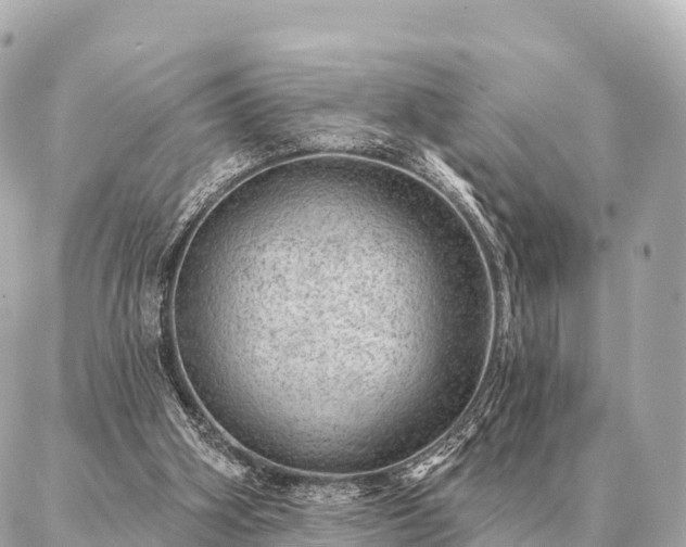 X0000086980106200704231829