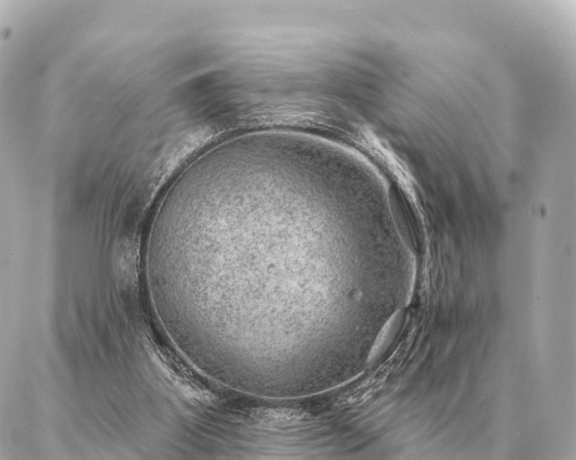 X0000086980107200704231829