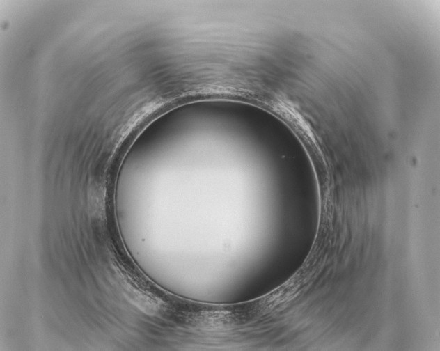 X0000086980108200704231829