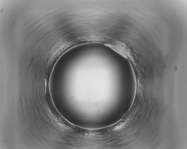 X0000086980109200704231829