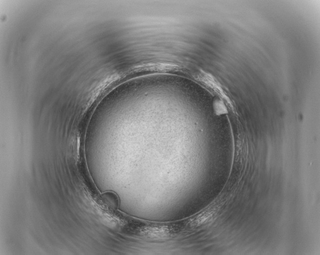 X0000086980110200704231829