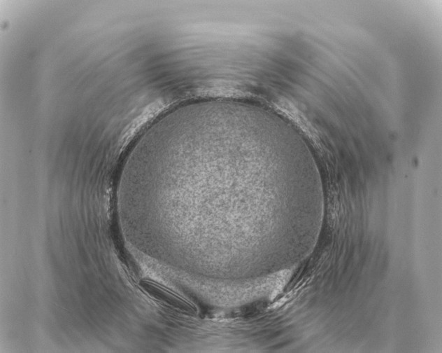 X0000086980111200704231829