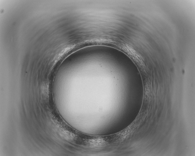 X0000086980112200704231829