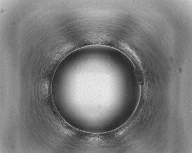 X0000086980113200704231829