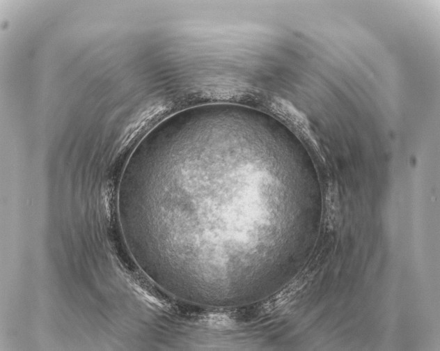 X0000086980114200704231829