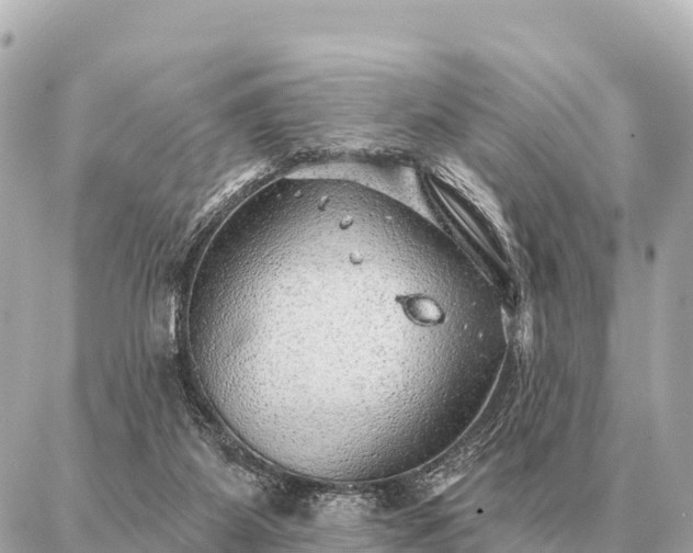 X0000086980115200704231829