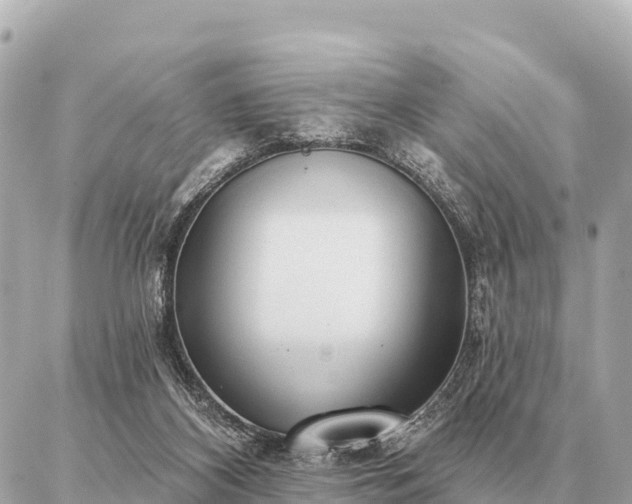 X0000086980116200704231829