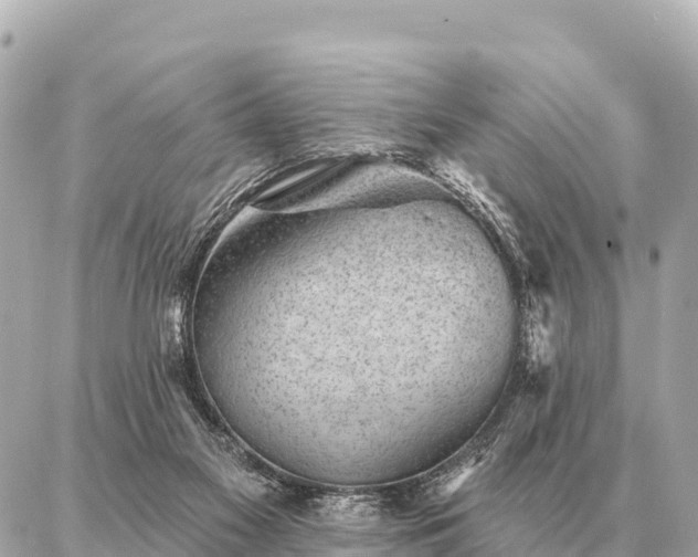 X0000086980117200704231829