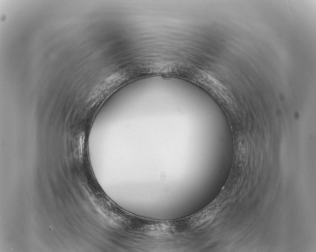 X0000086980118200704231829