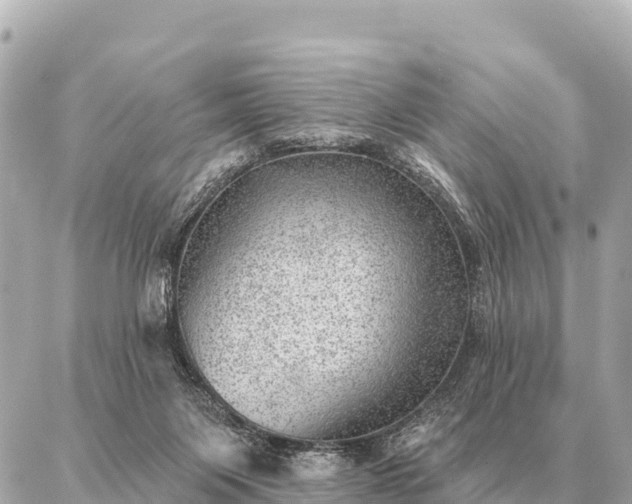 X0000086980119200704231829