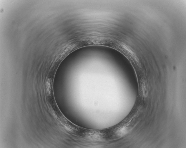 X0000086980121200704231829