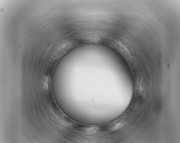 X0000086980122200704231829