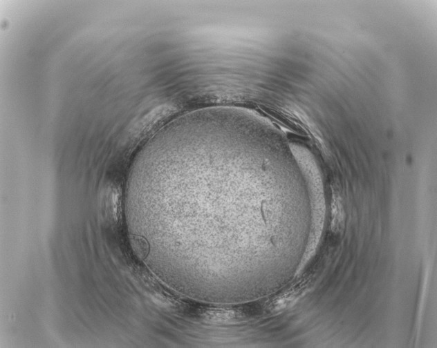 X0000086980123200704231829