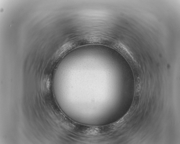 X0000086980124200704231829