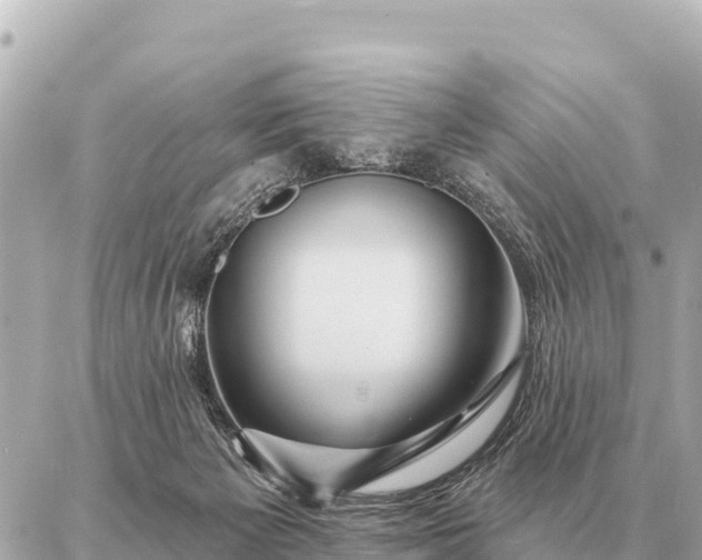 X0000086980125200704231829