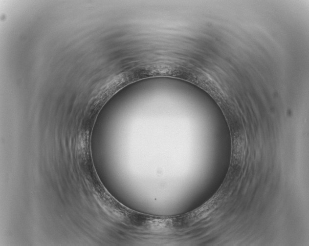 X0000086980126200704231829