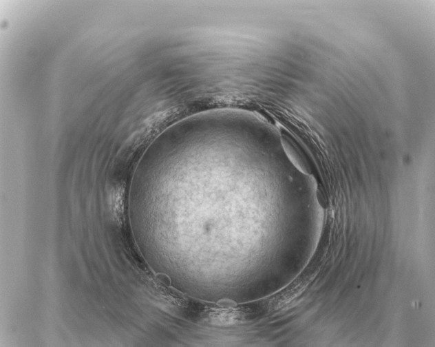 X0000086980127200704231829