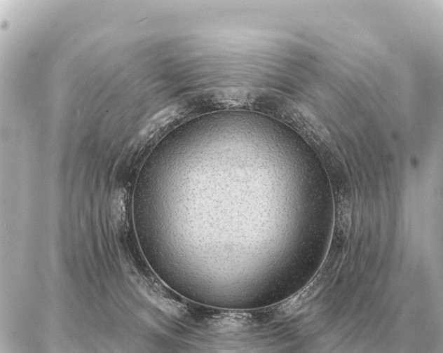 X0000086980128200704231829