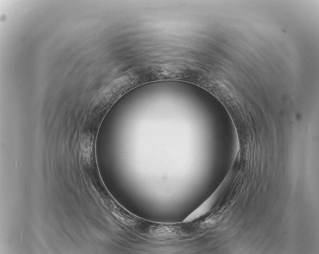 X0000086980129200704231829