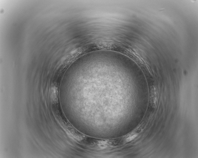 X0000086980130200704231829