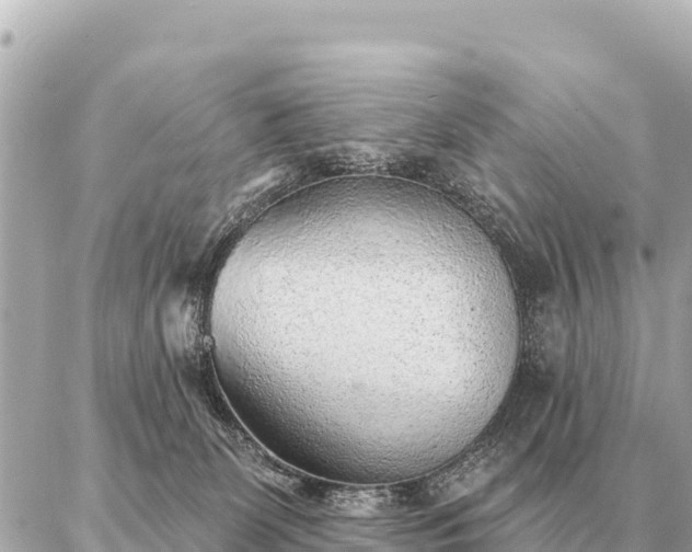 X0000086980131200704231829