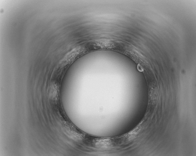 X0000086980132200704231829