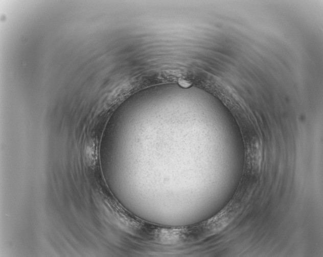 X0000086980134200704231829