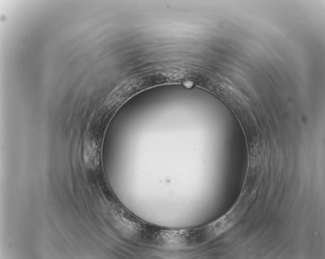 X0000086980136200704231829