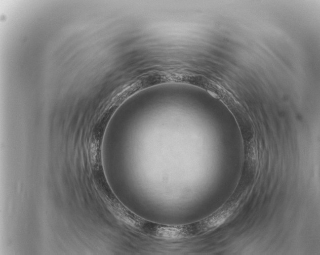 X0000086980139200704231829