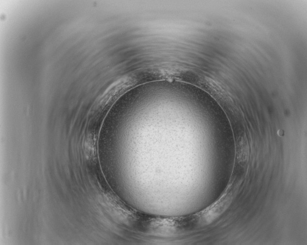 X0000086980140200704231829