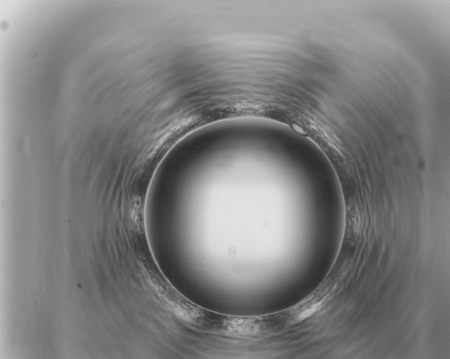 X0000086980141200704231829