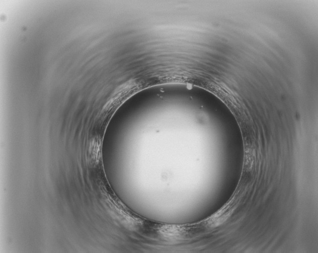 X0000086980142200704231829