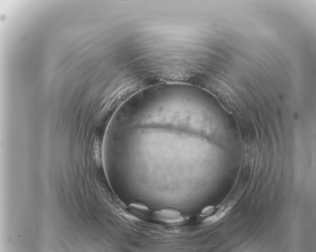 X0000086980143200704231829