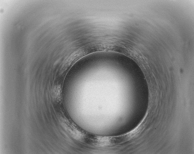 X0000086980144200704231829