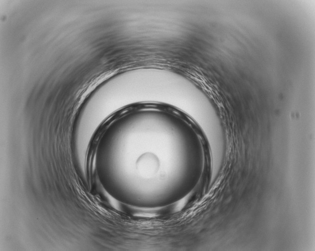 X0000086980146200704231828