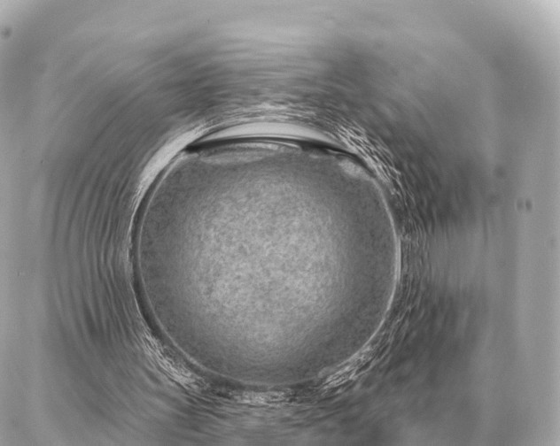 X0000086980147200704231828