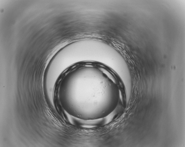 X0000086980148200704231828