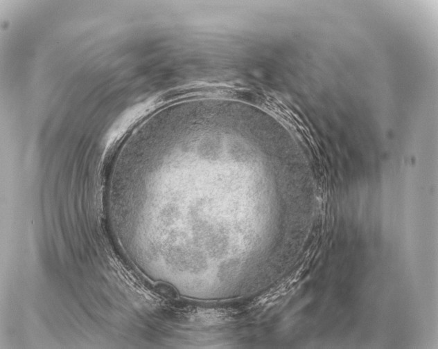 X0000086980149200704231828