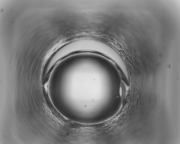 X0000086980150200704231828