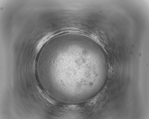 X0000086980151200704231828