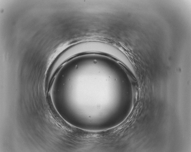 X0000086980152200704231828