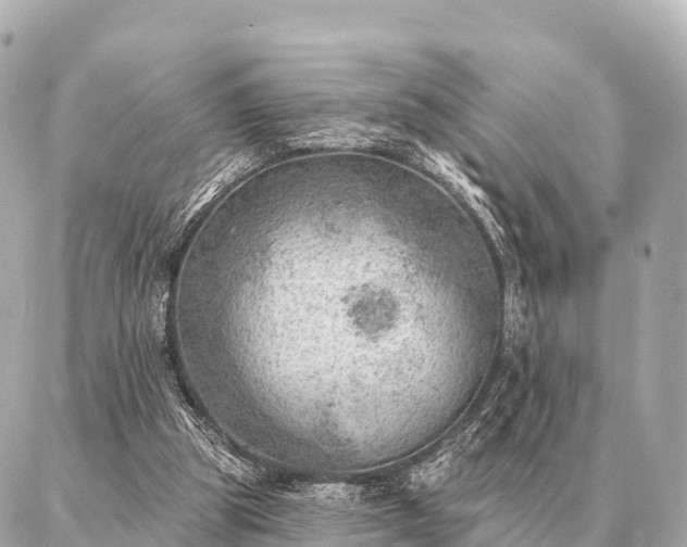 X0000086980153200704231828