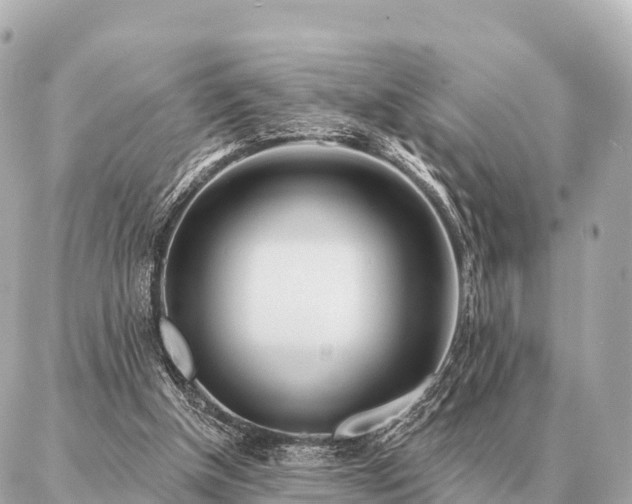 X0000086980154200704231828