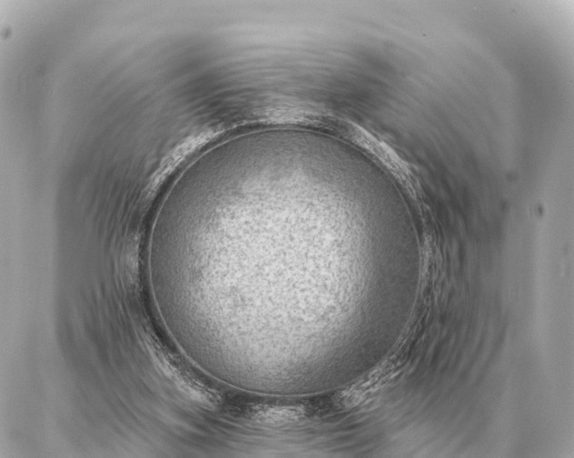 X0000086980155200704231828