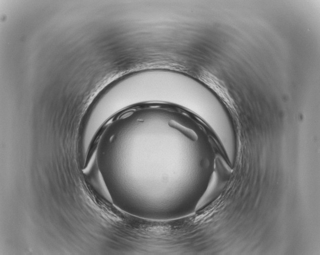 X0000086980156200704231828