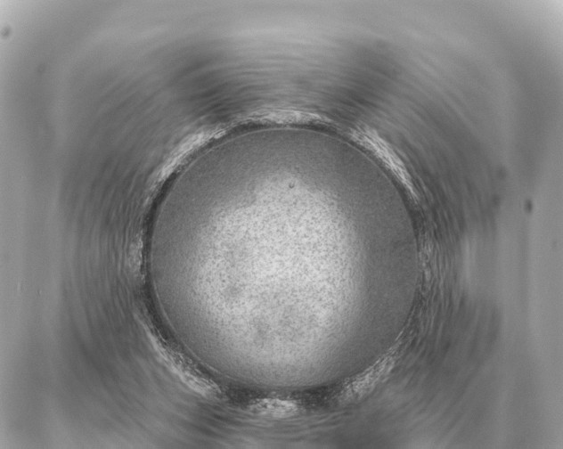 X0000086980159200704231828