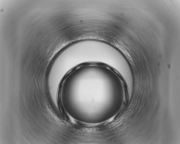 X0000086980160200704231828