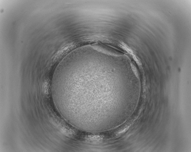 X0000086980161200704231828