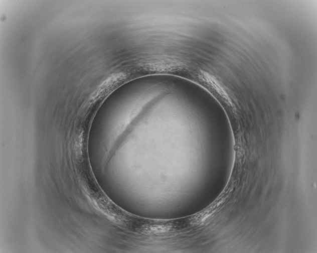 X0000086980163200704231828