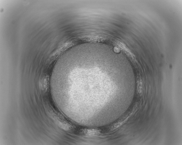 X0000086980165200704231828